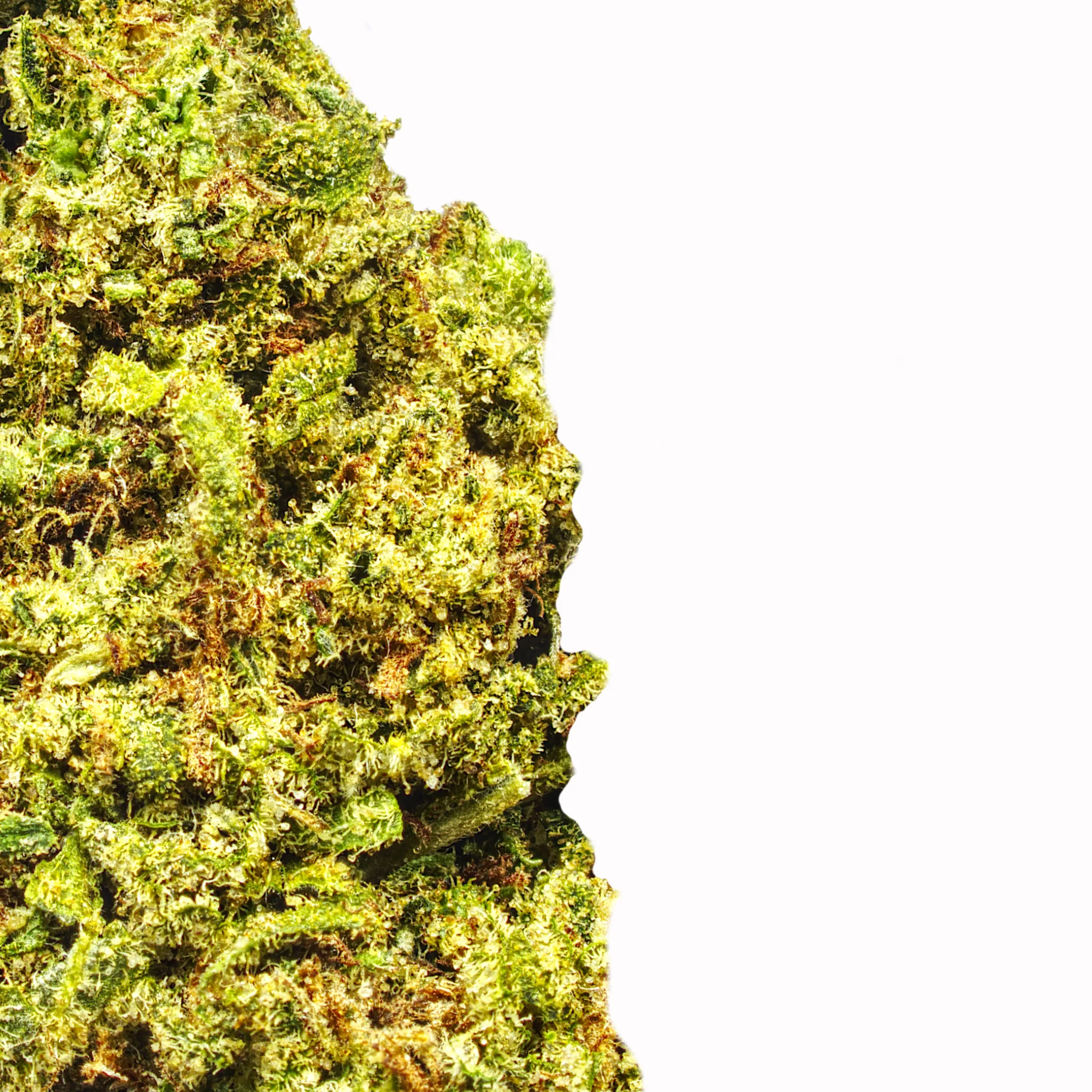 Blue Dream - Image 2