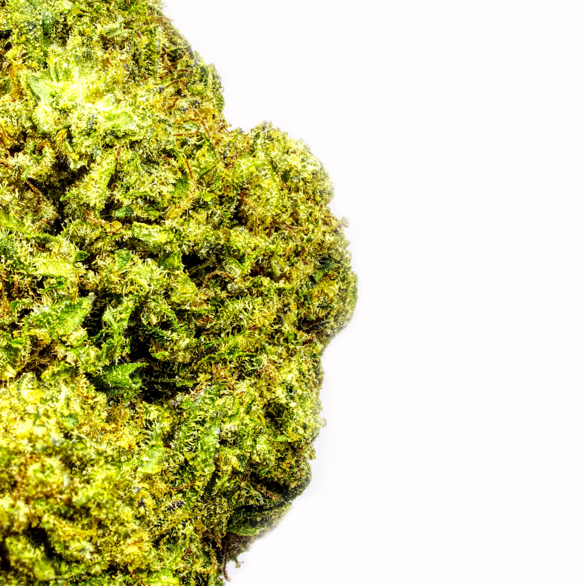 Cali Tonic - Image 2