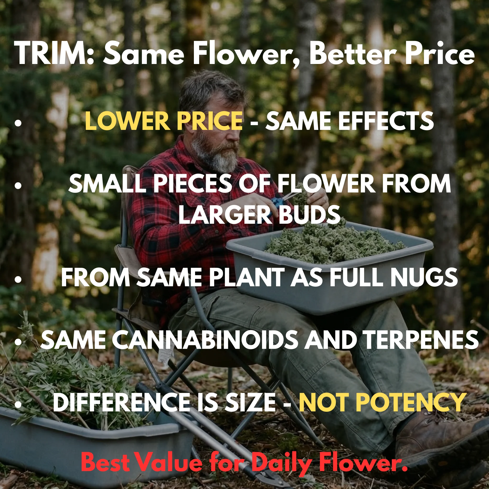 Gas Face Trim (Exotic) - Image 3
