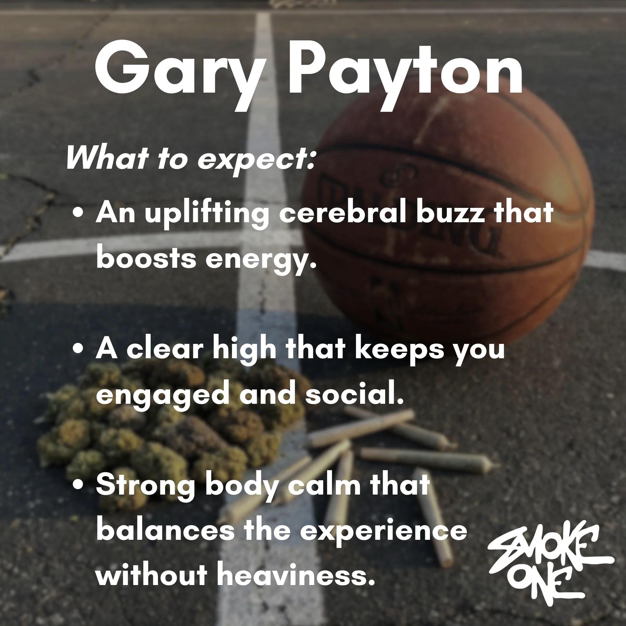 Gary Payton - Image 3