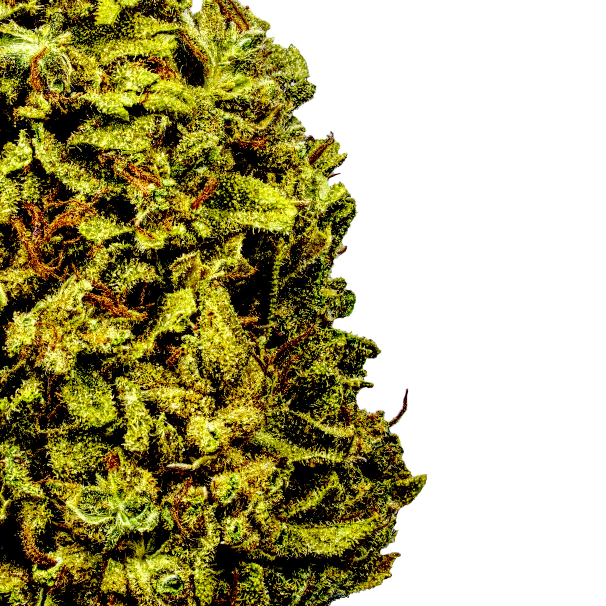 Kandy Kush - Image 2