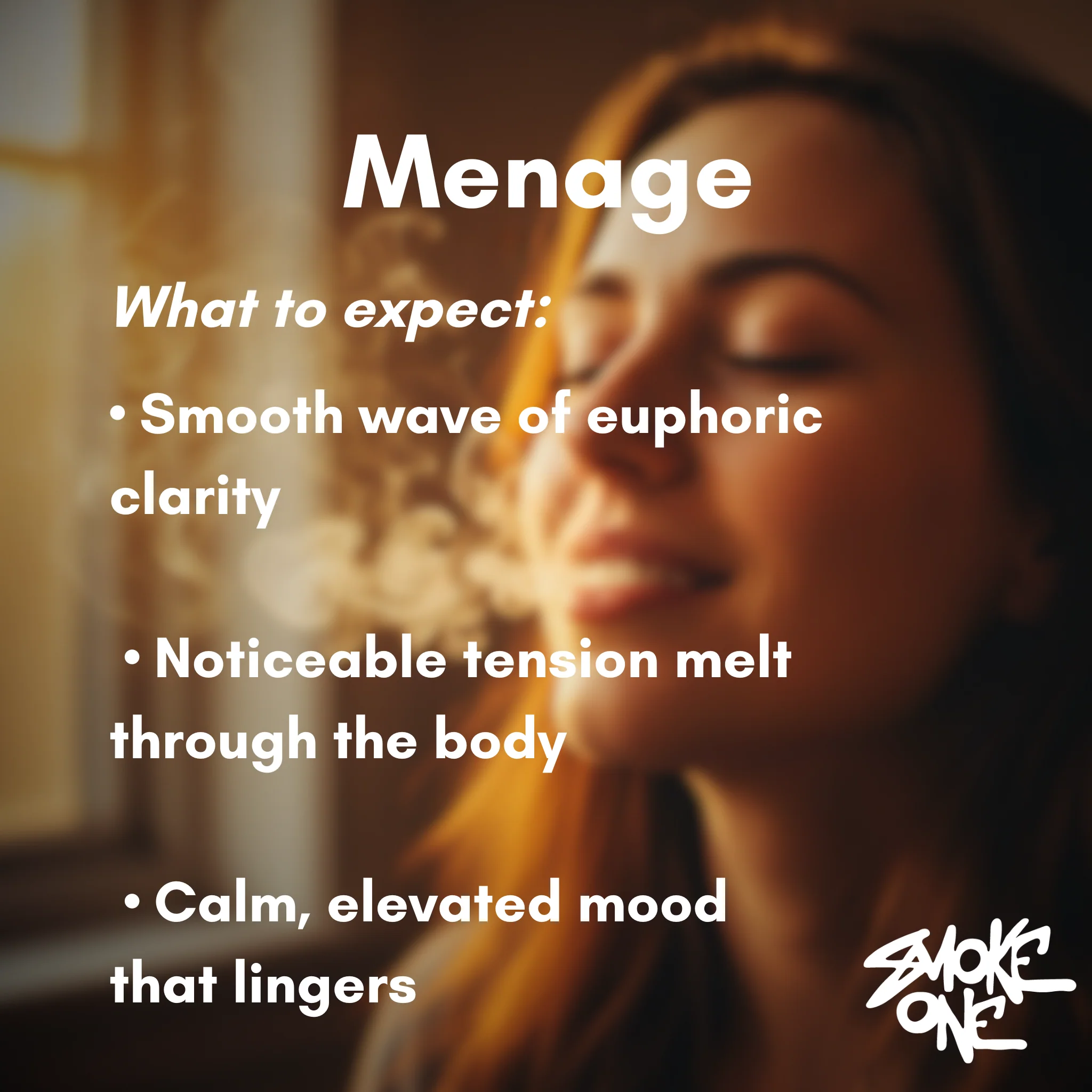 Menage - Image 3